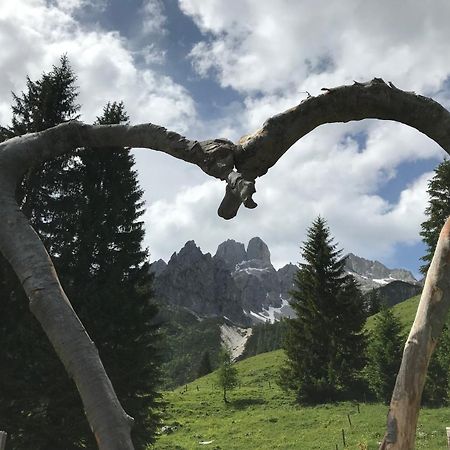 Chalet Kleinbergsonne Filzmoos Dış mekan fotoğraf