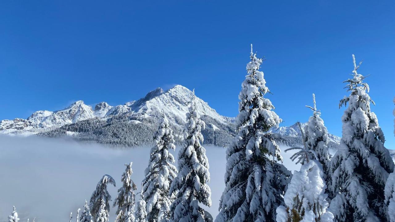 Chalet Kleinbergsonne Filzmoos Dış mekan fotoğraf