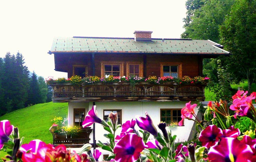 Chalet Kleinbergsonne Filzmoos Dış mekan fotoğraf